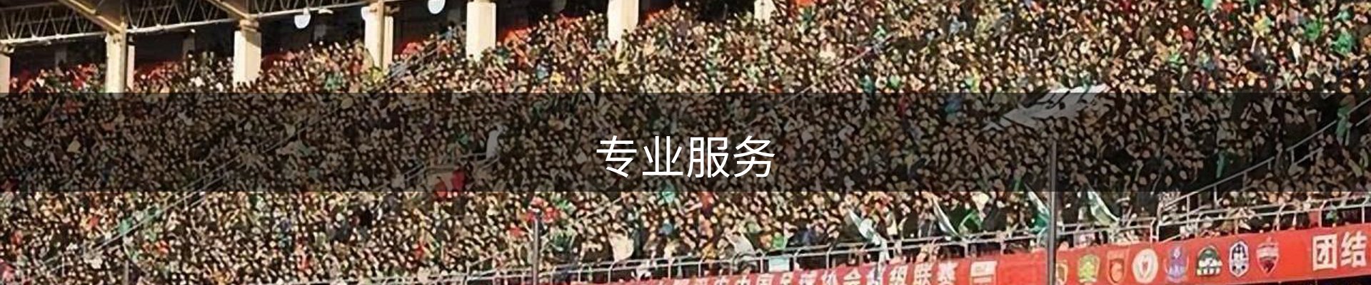 专业服务